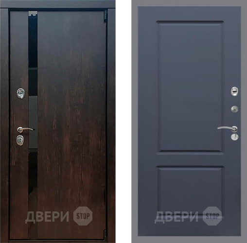 Дверь Рекс (REX) 26 FL-117 Силк титан